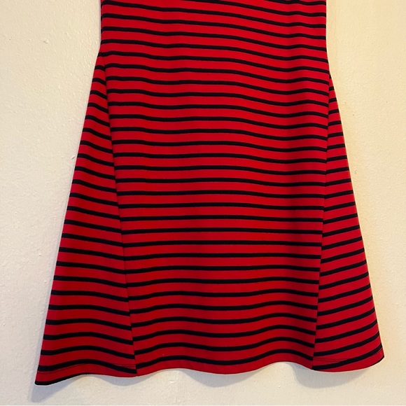The Limited Fit and Flare Striped Dress - Picture 5 of 8